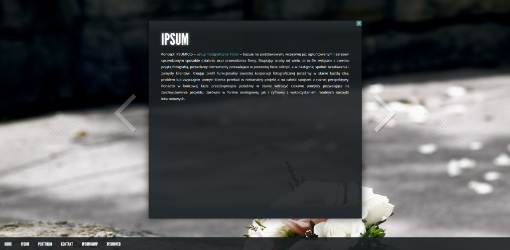 Ipsum foto 2